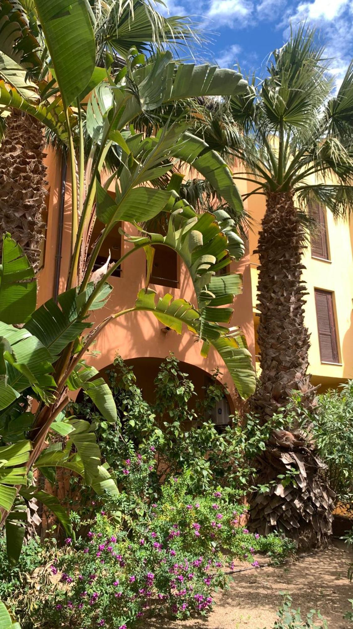 Nest House - Esclusivo Appartamento Marina Di Olbia- Mater Olbia - Beaches - Close To The Airport - Private Parking- Full Comforts - エクステリア 写真